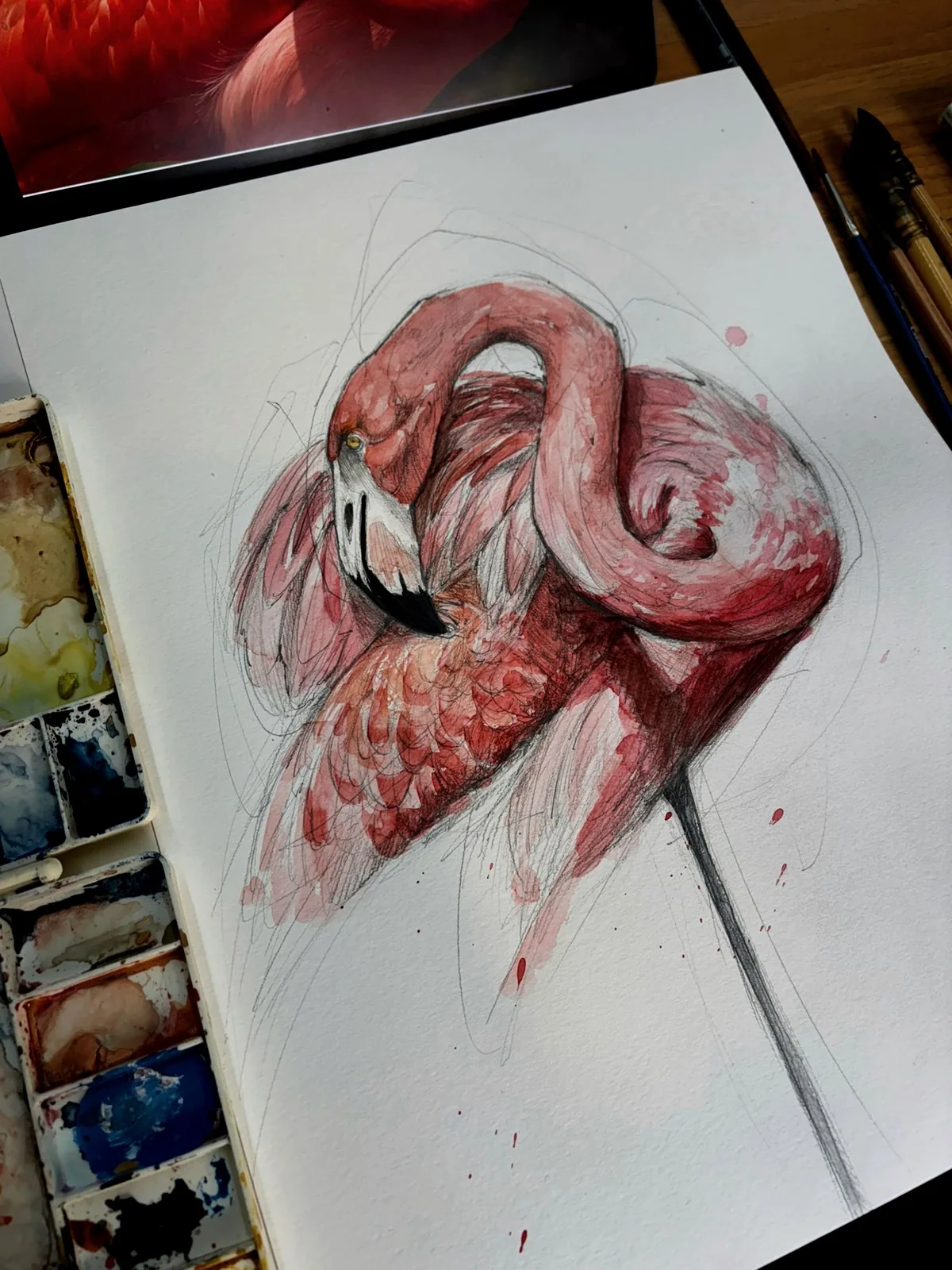 Flamingo — Feliphe Veiga