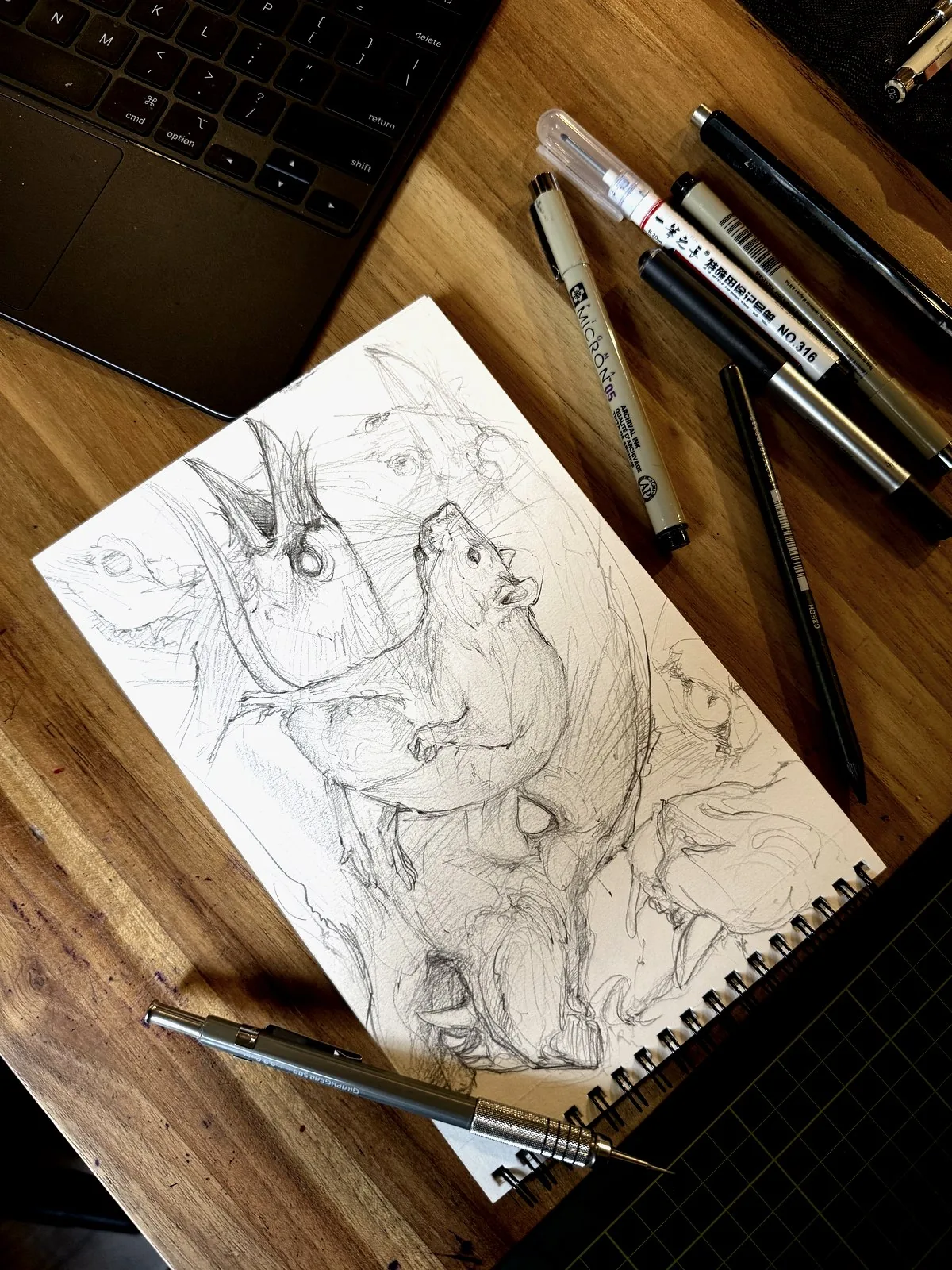 Processo — Feliphe Veiga