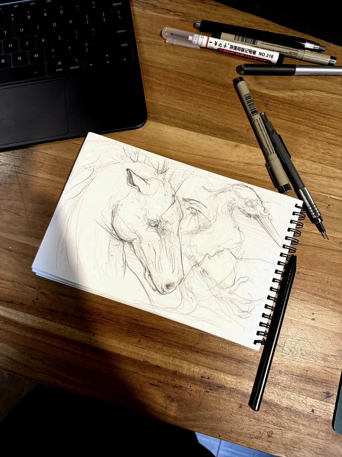 Processo — Feliphe Veiga