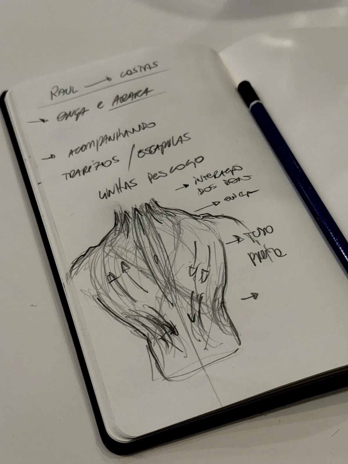 Processo — Feliphe Veiga