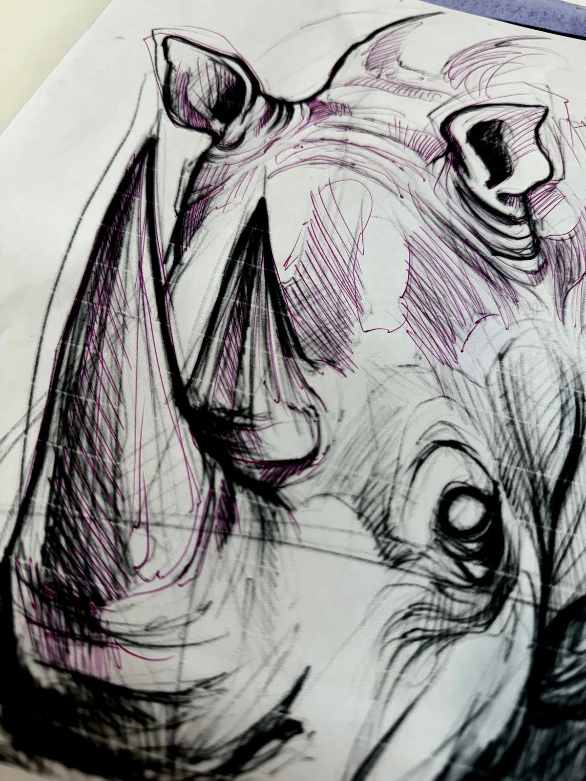 Processo — Feliphe Veiga